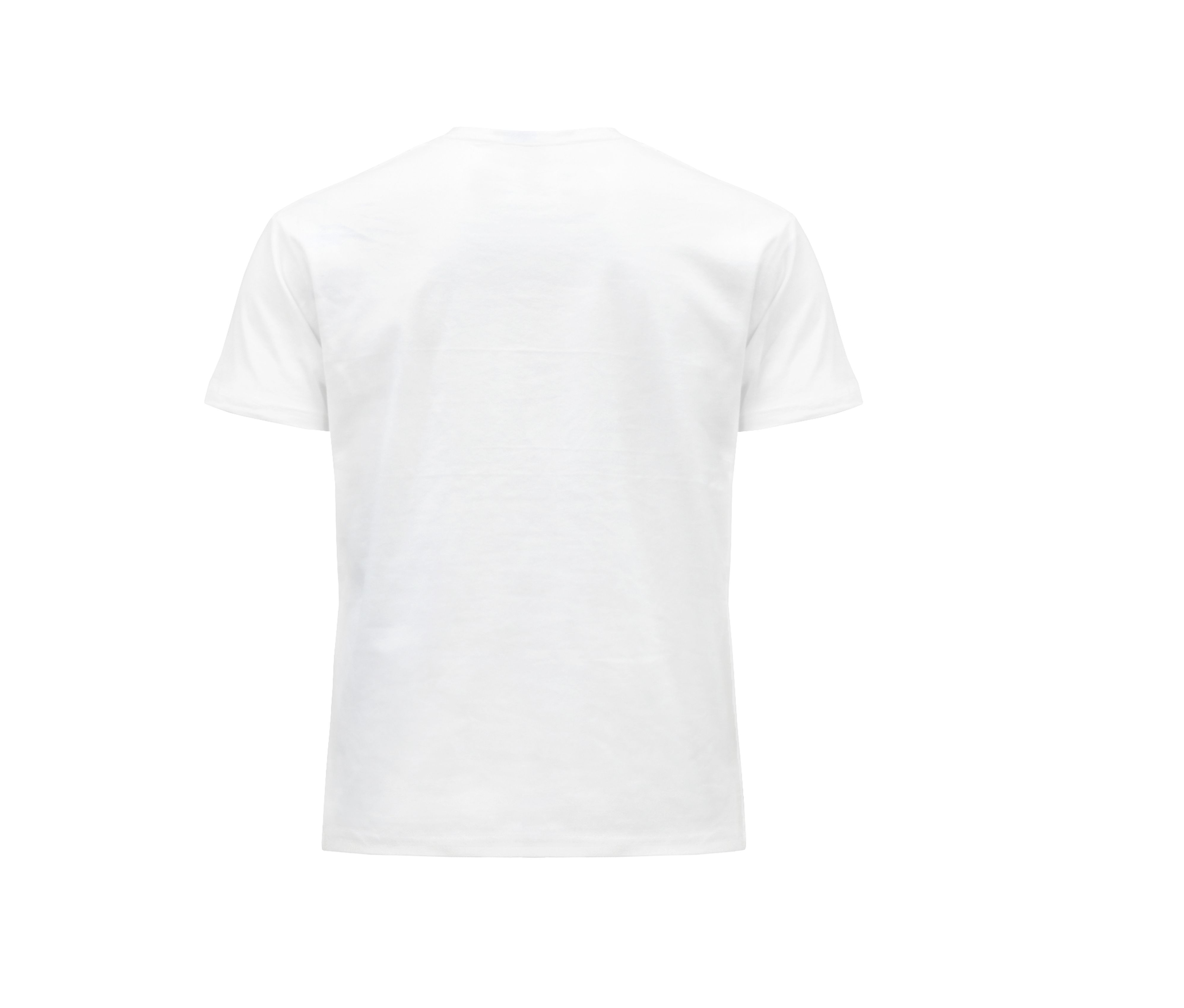 MAN REGULAR T-SHIRT
