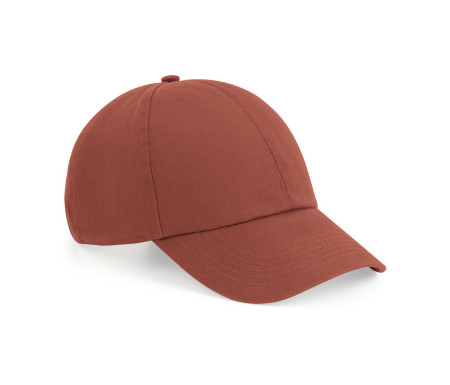 ORGANIC COTTON 6 PANEL CAP