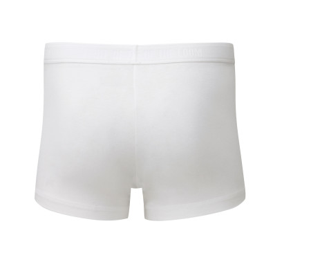 CLASSIC SHORTY 2 PACK