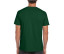 SOFTSTYLE ADULT T-SHIRT
