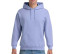HEAVY BLEND ADULT HOODED SWEATSHIRT