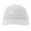 DAD HAT DESTROYED-S